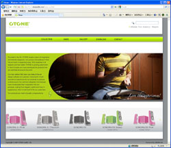 Web Design