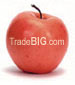 TradeBIG.com