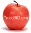 TradeBIG.com